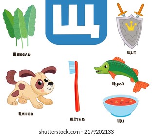 Russian Alphabet. Written In Russian Shield, Pike, Sorrel, Puppy, Brush, Cabbage Soup