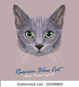 Russian Blue Cat Animal Cute Face Stock Vector Royalty Free 229208803