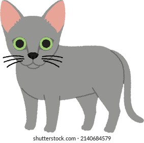 Russian Blue Cat commonly referred to as just Russian Blue, is a cat breed with colors that vary from a light shimmering silver to a darker, slate grey.