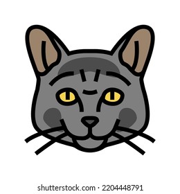 vector de icono de color de mascota lindo gato azul ruso. gatito azul ruso lindo signo de mascota. ilustración de símbolo aislado