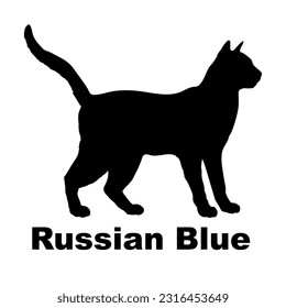 Russian Blue cat silhouette. Cat breeds vector. Pet. Animal