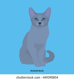 Russian blue, Isolated cat breed, Vector illustration