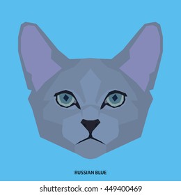 Russian blue, Isolated cat breed, Vector illustration