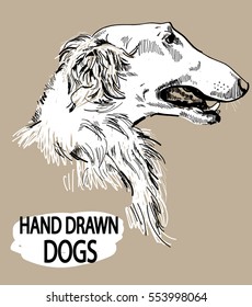 
Russian Borzoi. Drawing by hand in vintage style. Dog breeds.