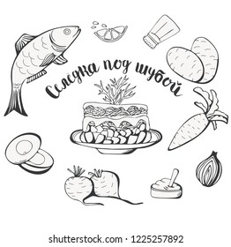 Russian cuisine. Herring under a fur coat (dressed herring) ingredients, vector sketch, isolated white