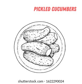 Russian dill pickles hand drawn illustration. Russian cuisine. Linear graphic. Food sketch. 