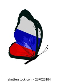 Russian flag butterfly - vector