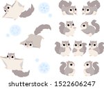 Russian flying squirrels multiple pose illustration set