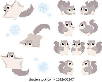 Russian Flying Squirrels Multiple Pose Illustration Set