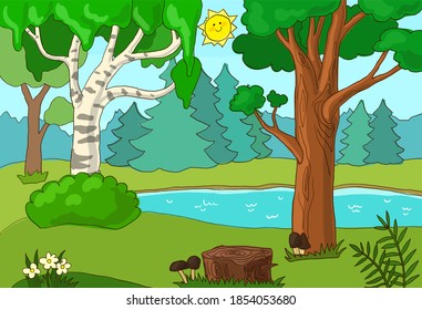 Russian forest scene in summer