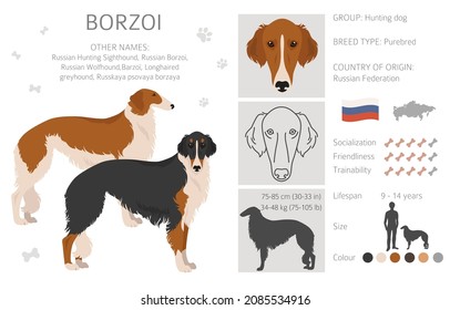 Russische Jagdkunst Borzoi Clipart. Unterschiedliche Farben und Posen.  Vektorgrafik