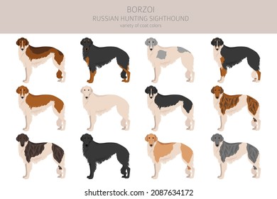 Russische Jagdkunst Borzoi Clipart. Unterschiedliche Farben und Posen.  Vektorgrafik