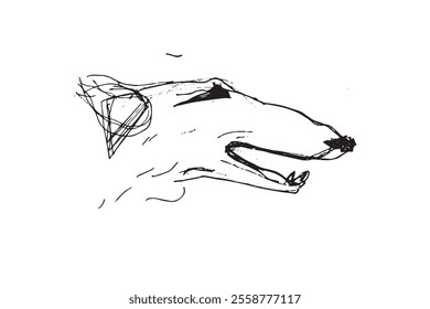 Russian Hunting Sighthound hand-drawing sketch. Minimalist ink drawing of dog Borzoi. Gazehounds line art. Hound dog illustration. Black graphics for Dog breeding business.