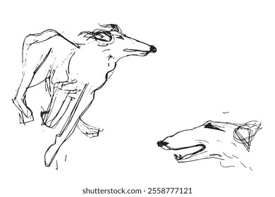 Russian Hunting Sighthound hand-drawing sketch. Minimalist ink drawing of dog Borzoi. Gazehounds line art. Hound dog illustration. Black graphics for Dog breeding business.