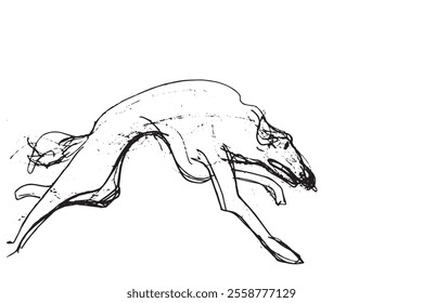 Russian Hunting Sighthound hand-drawing sketch. Minimalist ink drawing of dog Borzoi. Gazehounds line art. Hound dog illustration. Black graphics for Dog breeding business.