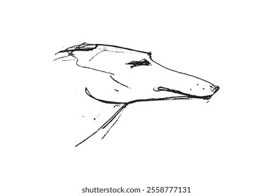 Russian Hunting Sighthound hand-drawing sketch. Minimalist ink drawing of dog Borzoi. Gazehounds line art. Hound dog illustration. Black graphics for Dog breeding business.