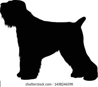 Russian Terrier, Dog, Silhouette, Russia