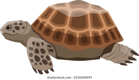 Russian tortoise walking gracefully, revealing its stunning patterned shell in a clean, isolated illustration. Showcasing the beauty of this resilient reptile in nature