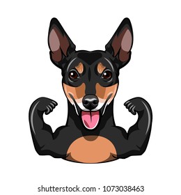 Russian Toy Terrier dog. Muscles. Dog sportsman. Dog portrrait. Vector illustration