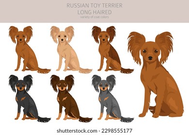 Russian toy terrier longhaired clipart. Different poses, coat colors set.  Vector illustration