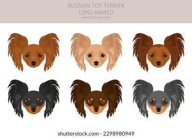Russian toy terrier longhaired clipart. Different poses, coat colors set.  Vector illustration
