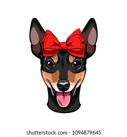 Russian Toy Terrier portrait. Bow icon. Decorative red bow. Toy terrier dog breed. Cute puppy. Vector illustration.