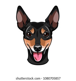 Russian Toy Terrier Portrait. Dog breed. Cute smiling dog. Vector illustration