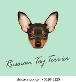 Russian Toy Terrier Portrait. Vector Illustrated Portrait of small Dog on green background.