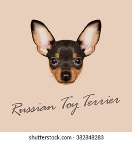 Russian Toy Terrier Portrait. Vector Illustrated Portrait of small Dog on tan background.