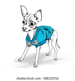 Russian Toy Terrier puppy in a blue clothes and in striped tie. Vector illustration.