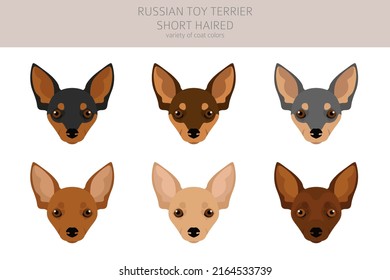 3,600 Toy Terrier Stock Vectors, Images & Vector Art | Shutterstock