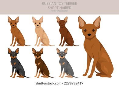 Russian toy terrier shorthaired clipart. Different poses, coat colors set.  Vector illustration