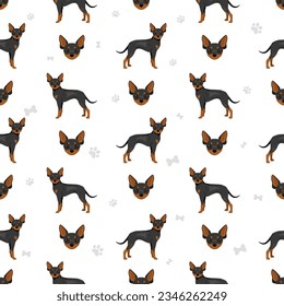 Russian toy terrier shorthaired seamless pattern. Different poses, coat colors set.  Vector illustration