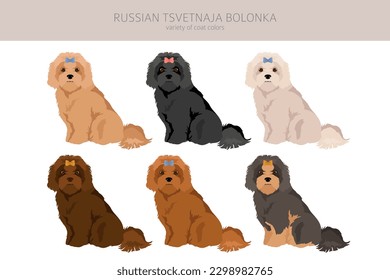 Russian tsvetnaja bolonka clipart. Different poses, coat colors set.  Vector illustration