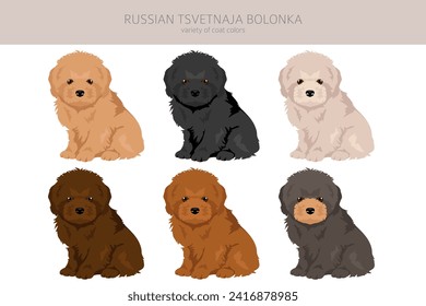 Russian tsvetnaja bolonka puppy clipart. Different poses, coat colors set.  Vector illustration