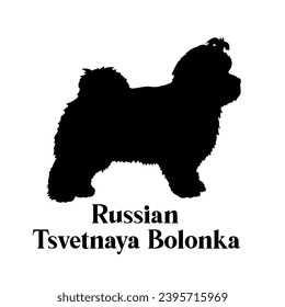 Russian Tsvetnaya Bolonka. Dog silhouette dog breeds dog monogram logo dog face vector