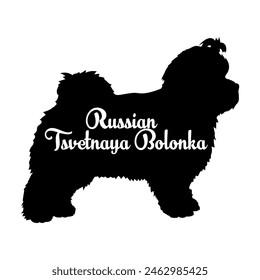 Russian Tsvetnaya Bolonka Dog silhouette dog breeds logo dog monogram vector