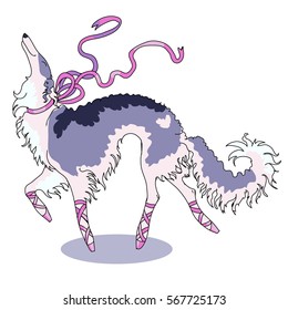 Russian wolfhound girl in pointe shoes and tapes. Elegant borzoi dog is dancing ballet. Hand drawn vector illustration isolated on white background.