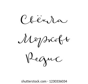 Russian words for different kinds of vegetables. Beet, carrot, radish. Elegant and nice modern calligraphy. 