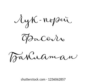 Russian words for different kinds of vegetables. Leek, beans, eggplant. Elegant and nice modern calligraphy. 
