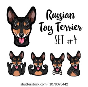 Russian Yoy terrier. Gestures set. Bone, middle finger, bone, muscles, rock gesture, horns. Vector illustration.