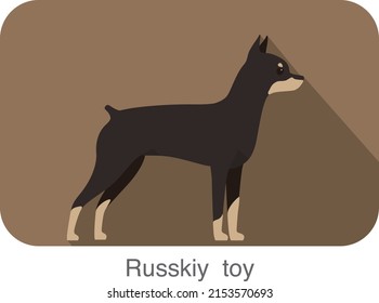 Russkiy toy terrier standing and watching, vector illustration