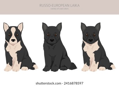 Russo-European Laika puppy clipart. All coat colors set.  All dog breeds characteristics infographic. Vector illustration