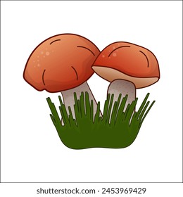 Russula, boletus vector color isolated illustration. Theme plants, botanists, mushrooms in cartoon. Design element for theme forest mushrooms, menu, forest, ingredient, recipes, organic products, etc.