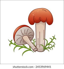 Russula, boletus vector color isolated illustration. Theme plants, botanists, mushrooms in cartoon. Design element for theme forest mushrooms, menu, forest, ingredient, recipes, organic products, etc.