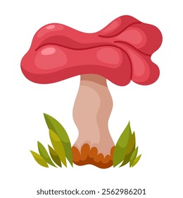 Russula emetica mushroom, red poisonous forest mushroom. Forest grass and leaves. Cartoon vector illustration on a white background.