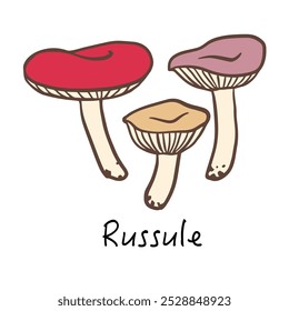 Russula line icon. Vector mushroom illustration isolated on white background for book, market, restaurant menu, package design.