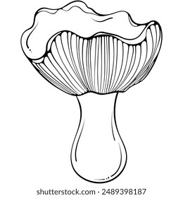 Seta Russula. Hongo comestible de otoño del bosque. Ilustración vectorial dibujada a mano estilo garabato. Gráfico de arte de línea aislado en blanco para libro de colorear, impresión