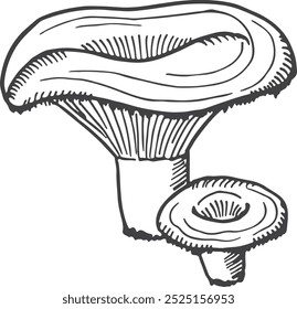 Russula-Pilz. Wald-Natursymbol. Frische Pilze