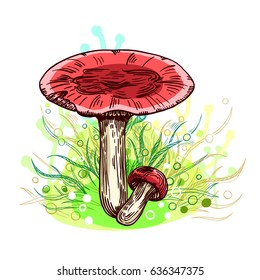 Russula mushroom with grass on background in engraved style. Vector illustration.